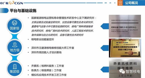 喜訊 公司成功通過國家高新技術企業(yè)認定，技術服務獲權威認可